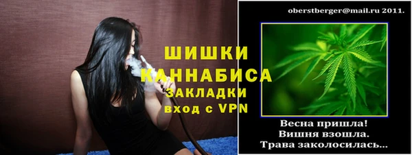 твердый Корсаков
