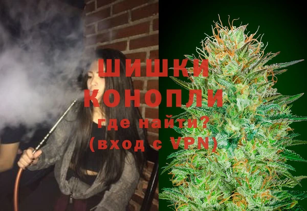 твердый Корсаков